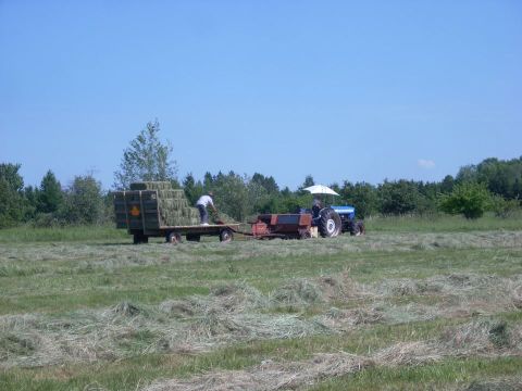 1987 Ford F-250 - A tractor is seen pulling a trailer filled with hay bales across a grassy field under a clear blue sky.