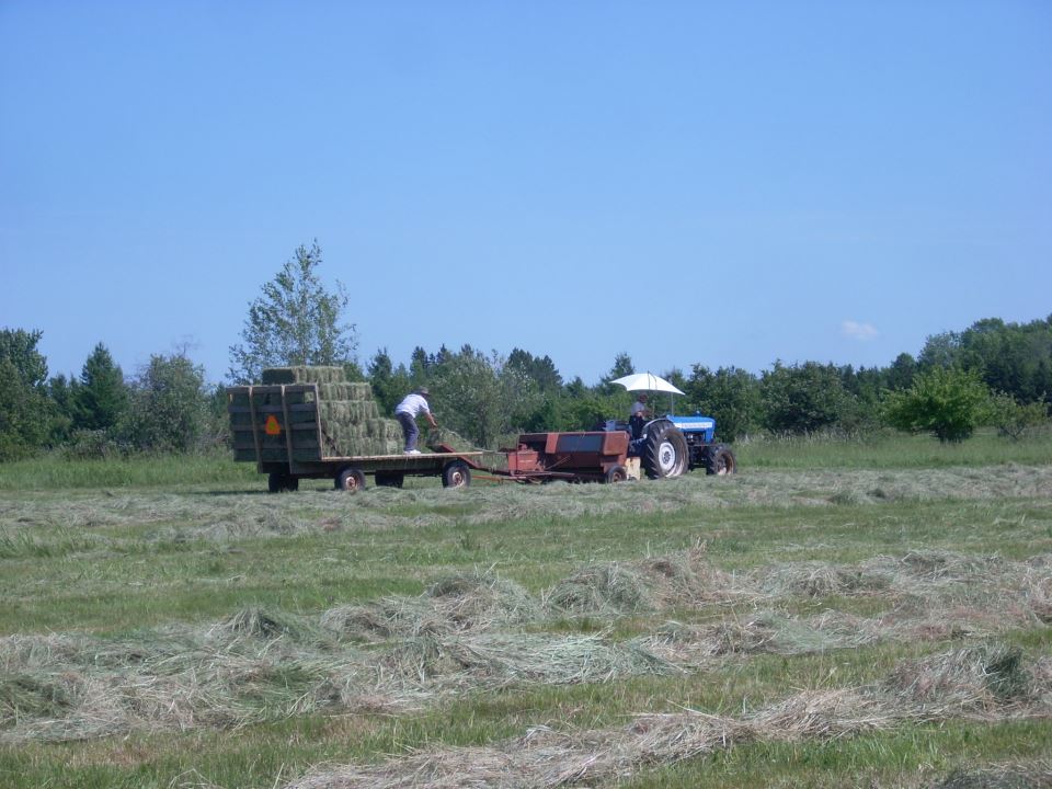 Tractor pulling a trailer loaded with hay bales in a field