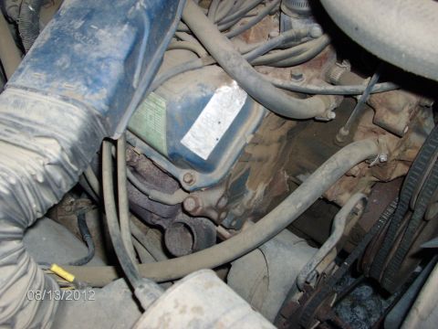 1979 Ford F-150 - Close-up view of an engine bay with various hoses and belts visible.