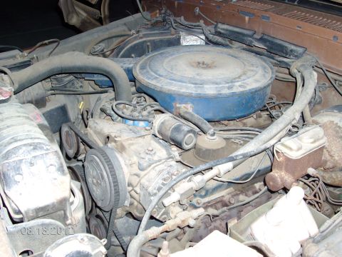 1979 Ford F-150 - The engine bay of a 1979 Ford F-150 displays its V8 engine, air cleaner assembly, and associated components.