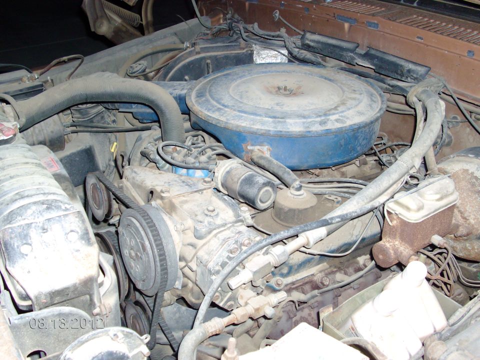 Engine bay of a 1979 Ford F-150, showing the V8 engine, air cleaner, and various hoses and belts