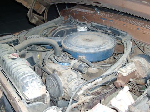 1979 Ford F-150 - The engine bay of a truck, a V8 engine, air cleaner, and radiator, with visible hoses and wiring.