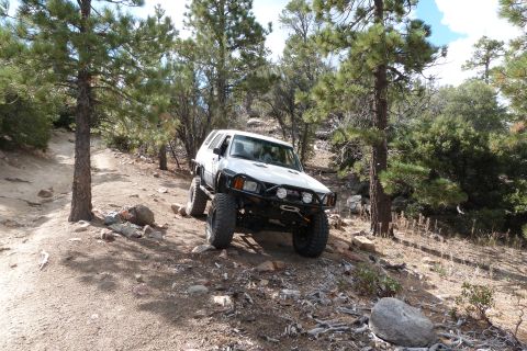 1985 Toyota 4Runner