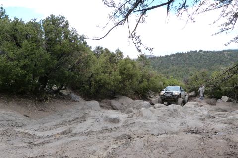 1985 Toyota 4Runner