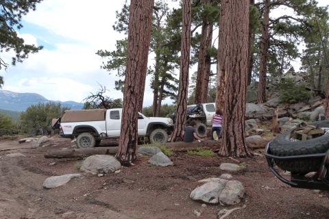 1985 Toyota 4Runner