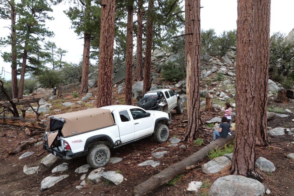 Two white Toyota Tacomas navigating a rocky, wooded trail. One has a tan camper shell