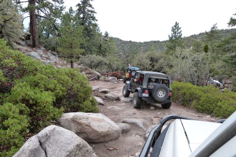 1985 Toyota 4Runner