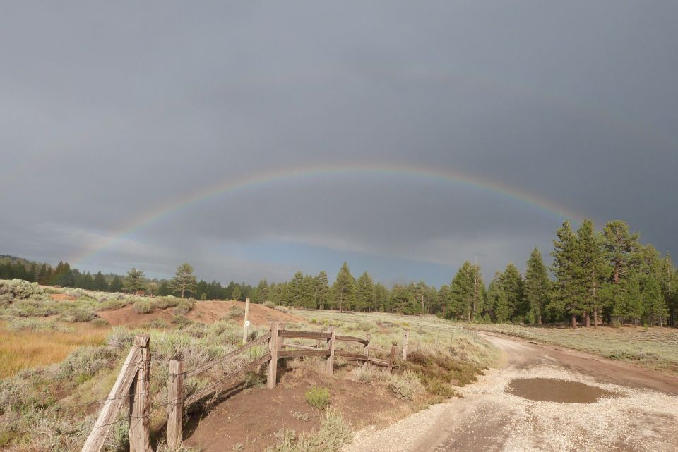 Dirt road with puddles, wooden fence, and a rainbow over a treeline