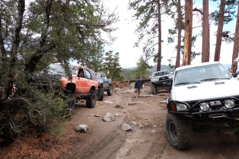 1985 Toyota 4Runner - Several off-road vehicles parked and driving on a dirt trail surrounded by trees.