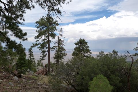 1985 Toyota 4Runner - A scenic view of a mountainous area with scattered trees and a dramatic sky.