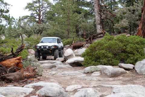 1985 Toyota 4Runner - White 1985 Toyota 4Runner tackling a challenging rocky trail in a wooded area.