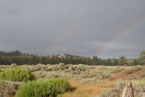1985 Toyota 4Runner - A rainbow appears in the sky over a grassy field with trees in the background.