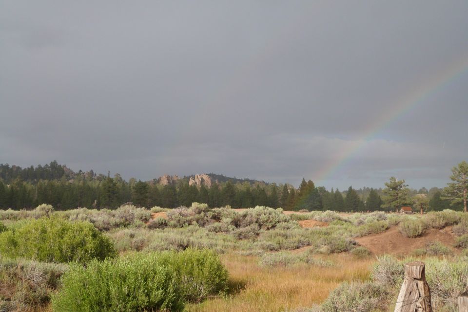 Overcast sky with a rainbow arching over a field and trees. A wooden fence post is in the foreground