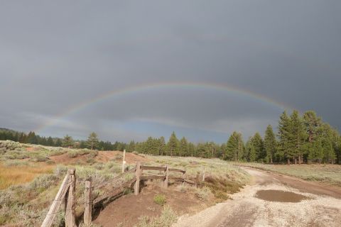 1985 Toyota 4Runner - A dirt road winds through a grassy landscape under a cloudy sky with a prominent rainbow.