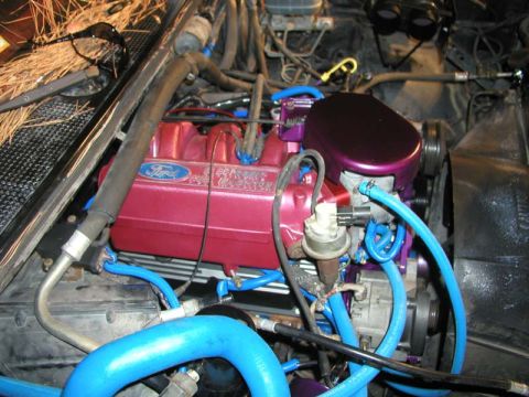 1988 Ford Bronco - Close-up view of an engine bay red Ford valve covers and bright blue hoses.