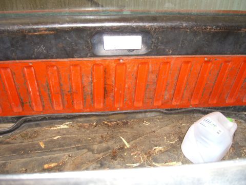 1979 Ford Bronco - The interior cargo area of a vehicle contains a plastic jug and debris on the floor.