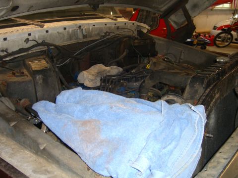 1979 Ford Bronco - The engine bay is partially covered by a blue towel, with other vehicles and a motorcycle in the background.
