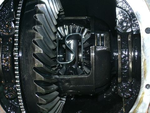 1991 Ford Bronco - Stock gears and a Trac-Lok