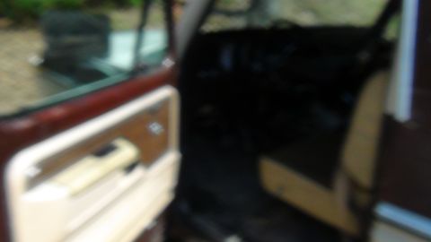 1979 Ford Bronco - Close-up of a vehicle's interior door panel, wood-grain accents and a beige pull handle.