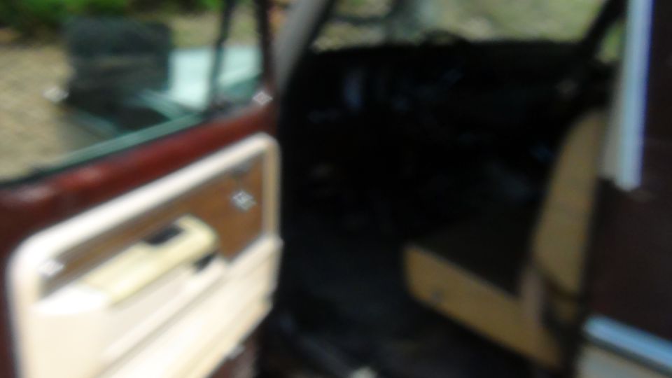Interior door panel with wood-grain trim and beige handle