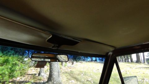 1979 Ford Bronco - Interior view of a vehicle's headliner and windshield, showing the surrounding trees.