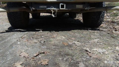1979 Ford Bronco - Truck's rear bumper, hitch, and tires are visible, with a dirt and leaf-covered ground below.