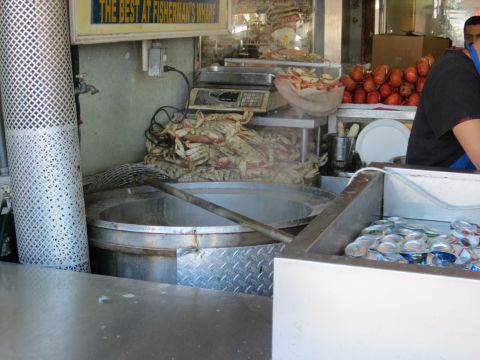 1991 Ford LTD Crown Victoria - A busy seafood preparation area with a large pot, scales, and a pile of crabs.