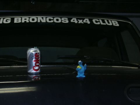 1991 Ford Bronco - Cookie is very excited