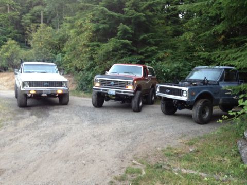 1984 Ford Bronco - A lifted Ford Bronco is parked alongside two pickup trucks in a wooded area.