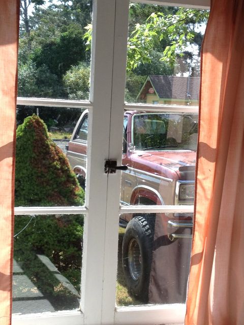 1984 Ford Bronco - A two-tone Ford Bronco is parked in a grassy area, viewed through a window with curtains.