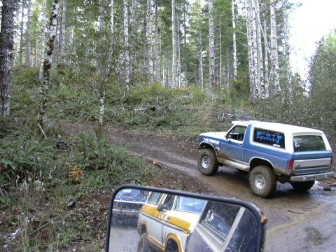 1991 Ford Bronco - Two Broncos navigate a muddy trail through a dense forest with tall trees.