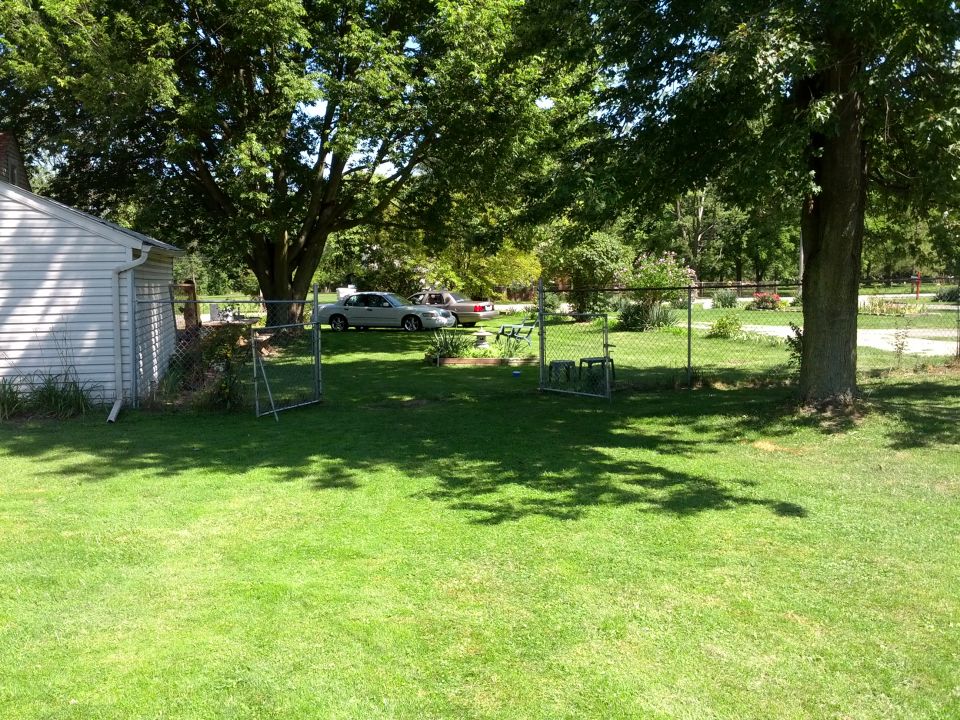 2007 Ford Crown Victoria and another car parked on a sunny day in a residential yard