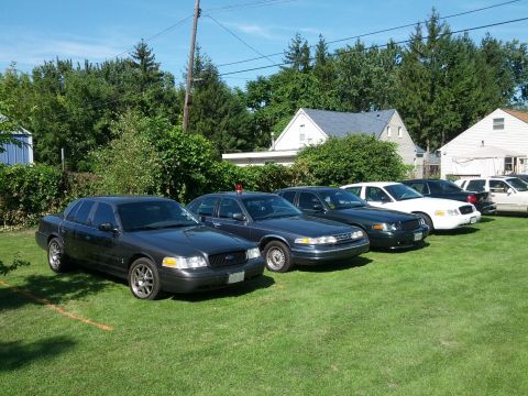 2007 Ford Crown Victoria - A lineup of Ford Crown Victoria sedans, including a white one, are parked on a grassy area under a clear blue sky.