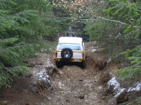 1991 Ford Bronco - Ford Bronco navigates a challenging dirt path through a forest.