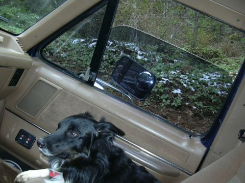 1991 Ford Bronco - A dog sits in the passenger seat of a 1991 Ford Bronco, observing the snowy woods outside.
