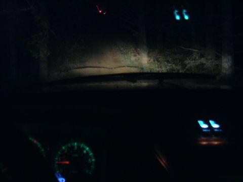 1991 Ford Bronco - Driving at night with headlights illuminating the road ahead and the dashboard lit up.