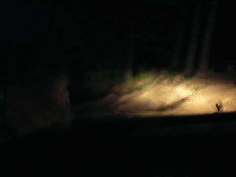 1991 Ford Bronco - Headlights cut through the darkness, illuminating a dirt road and the surrounding landscape at night.