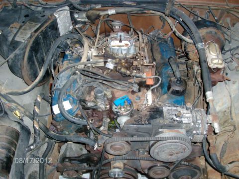 1979 Ford F-150 - Engine bay of a 1979 Ford F-150, a V8 engine with visible carburetor and distributor.