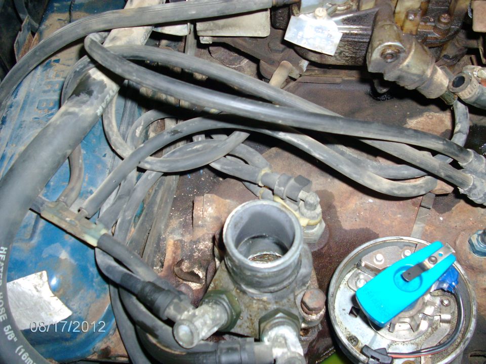 Close-up of engine bay showing hoses and a blue distributor cap