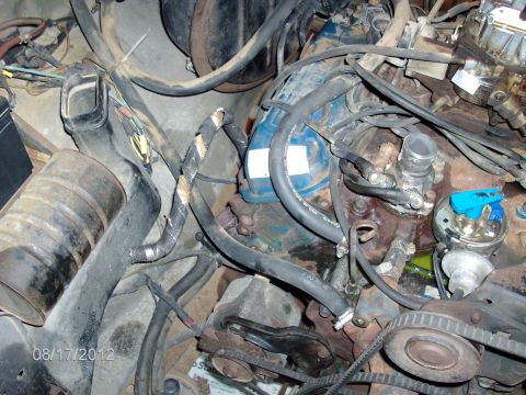 1979 Ford F-150 - Close-up view of an engine bay, showing hoses, wiring, and engine components.