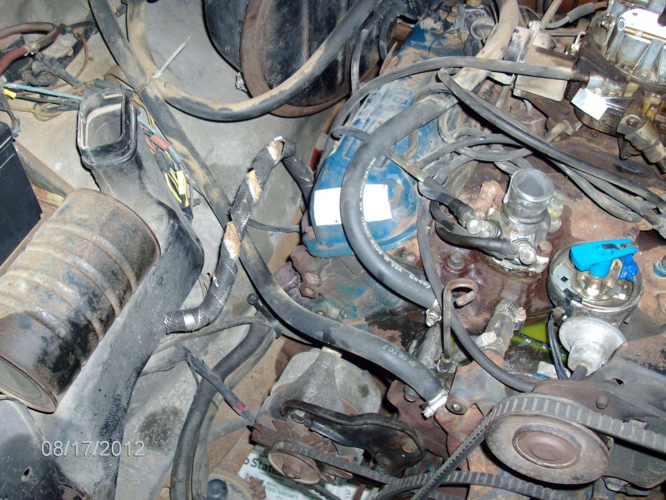 Engine bay with blue distributor cap and various hoses