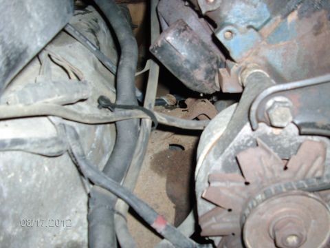 1979 Ford F-150 - Close-up view of the engine bay of a 1979 Ford F-150, showing the alternator and various hoses.