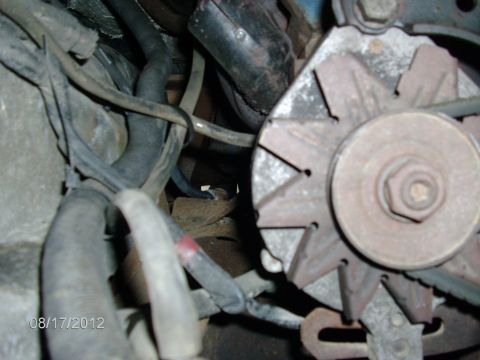 1979 Ford F-150 - Alternator and engine hoses are visible in this close-up photo dated 08/17/2012.