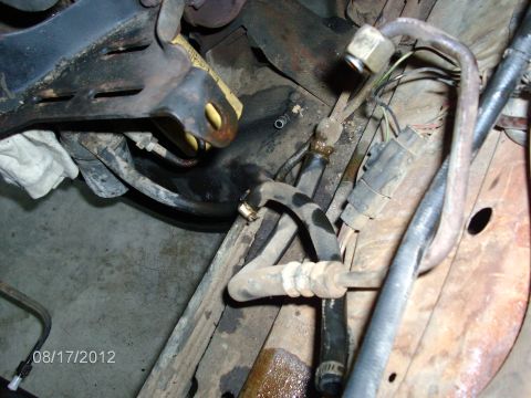 1979 Ford F-150 - Engine bay hoses and brackets are visible in this close-up view, with signs of fluid leakage.