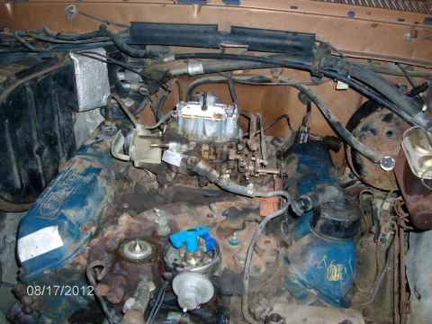 1979 Ford F-150 - Engine bay detail showing the carburetor, distributor, and valve covers of a Ford V8 engine.