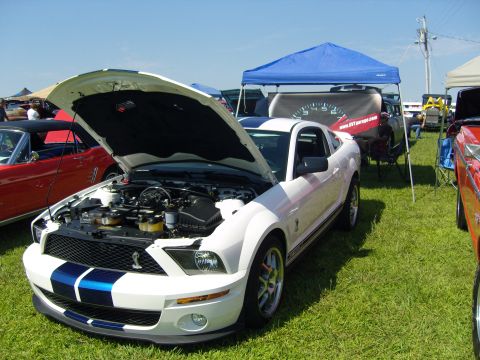 2007 Ford Mustang - A white Ford Mustang with blue racing stripes is displayed with its hood open at an outdoor car show.