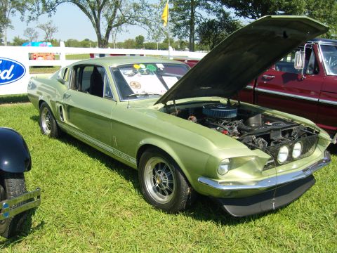 2007 Ford Mustang - This classic Mustang GT500 is displayed with its hood open, revealing the engine bay.