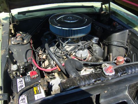 2007 Ford Mustang - The engine bay of a classic car, a V8 engine with a prominent chrome air filter housing.
