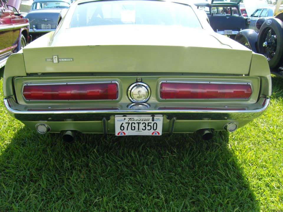 Rear of a light green 1967 Ford Mustang GT350 with a Tennessee license plate reading 67GT350. Other cars are visible in the background
