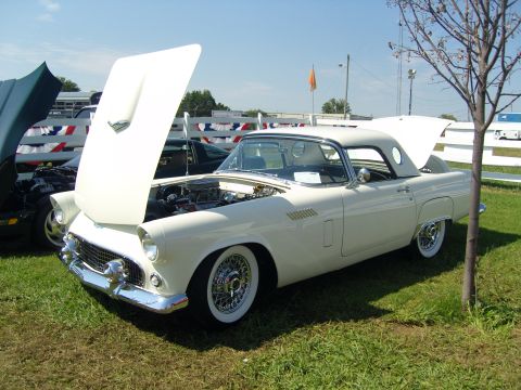 2007 Ford Mustang - A white 1955 Ford Thunderbird convertible is displayed with its hood open at an outdoor event.
